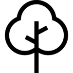 Drawing of tree